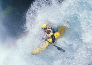 平台性能分析详解：完美体育品牌