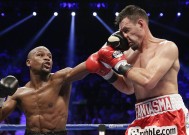 新手入门指南：完美体育官网