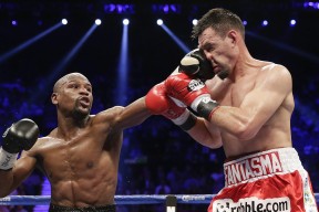 新手入门指南：完美体育官网